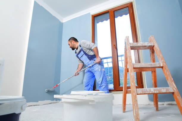  Tomball, TX Mold Removal Pros