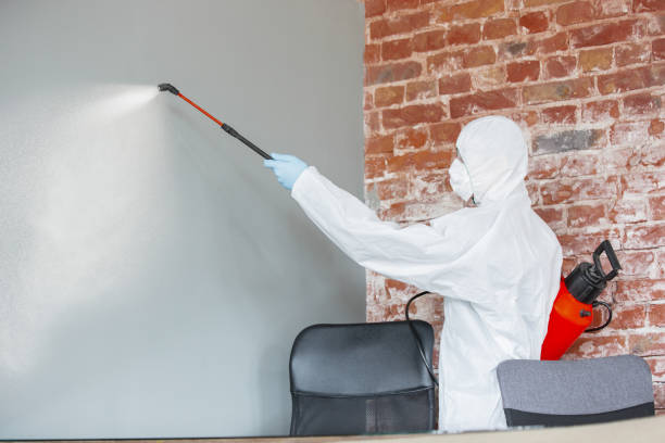 Best Mold Prevention Services  in Tomball, TX