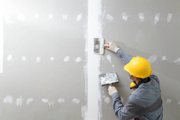 Best Post-Remediation Verification Testing  in Tomball, TX