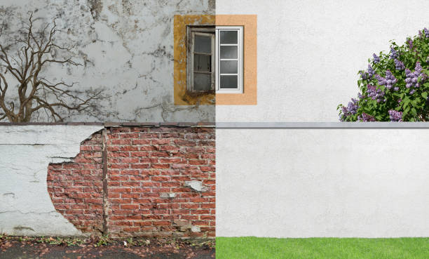 Mold Documentation for Insurance Claims in Tomball, TX