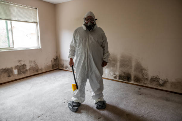 Tomball, TX Mold Removal Company